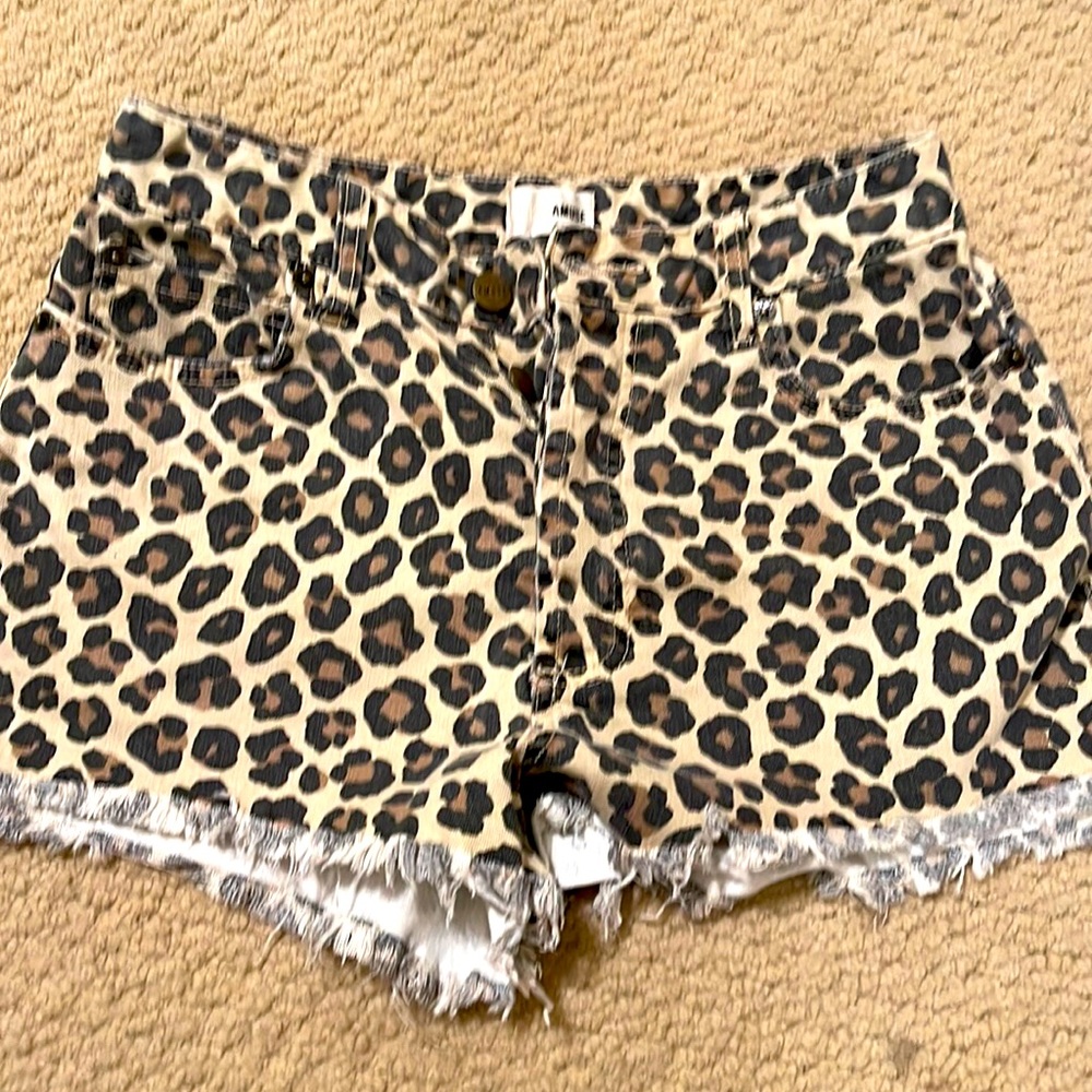 Amuse Society Shorts